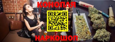 гидра Моздок