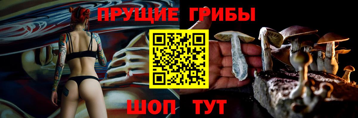 Галлюциногенные грибы Cubensis  Вход с VPN  Ухта  Галлюциногенные грибы Psilocybine cubensis 